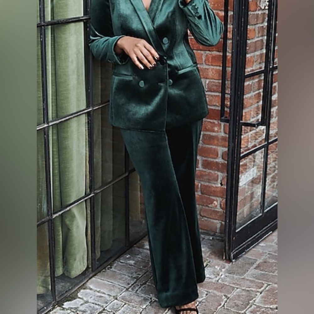 NWT Express Velvet Flare Trouser Pant
